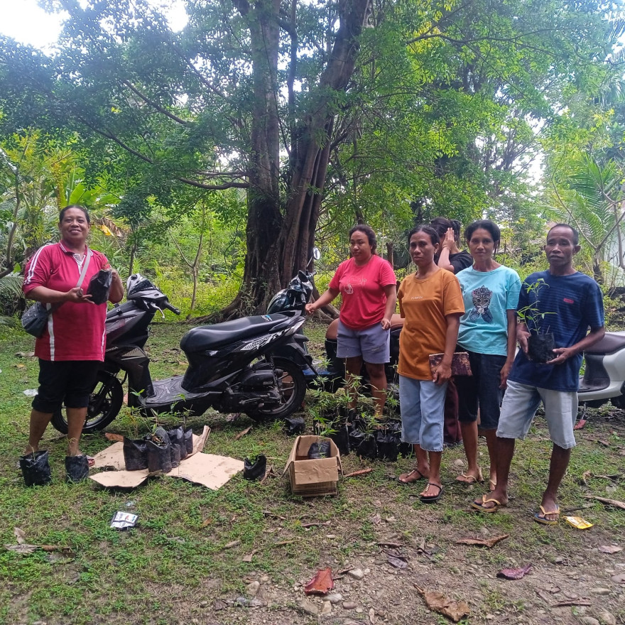 Penghijaun Pohon Mahoni dan Bambu di sepanjang kali Weoe
